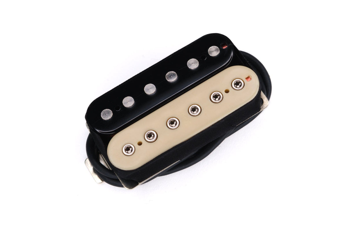Black Mass Electronics Raw Earth Humbucker Set Bridge / Zebra